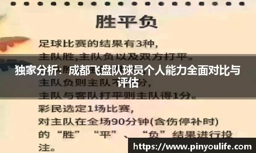 独家分析：成都飞盘队球员个人能力全面对比与评估