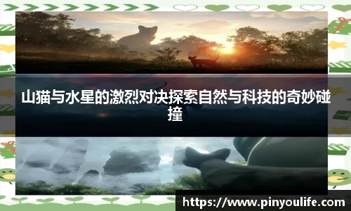 熊猫体育平台