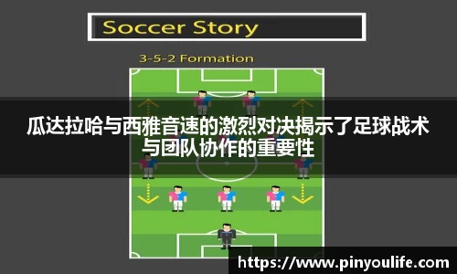 BSport体育官网